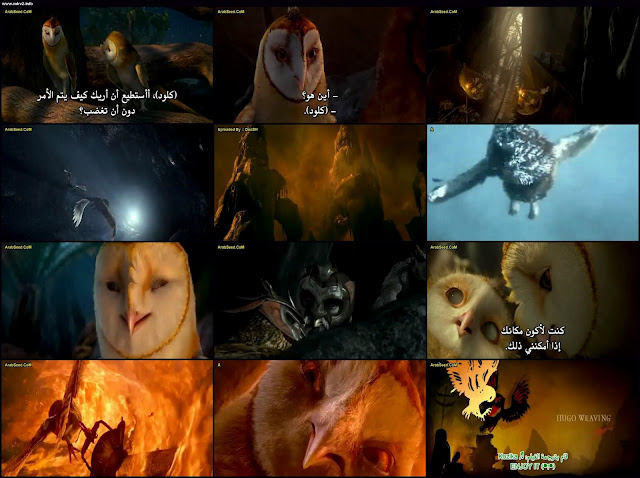 مشاهدة و تحميل Legend of the Guardians: The Owls