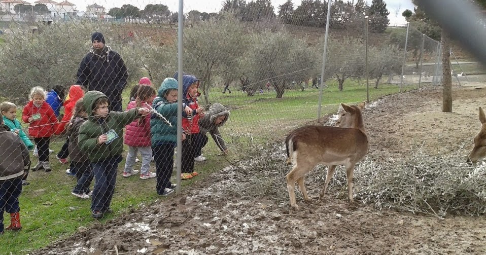 MESETA AL DIA: Infantil en la granja "El Acebo"