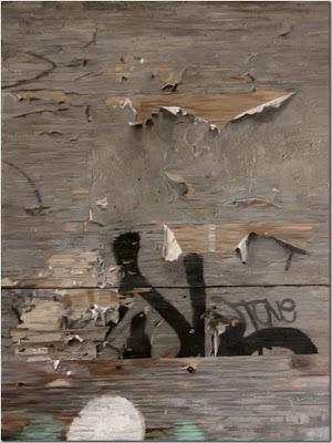 Graffiti and Wood Peeling by David Kassan