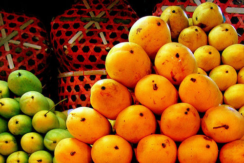 Philippine Mango