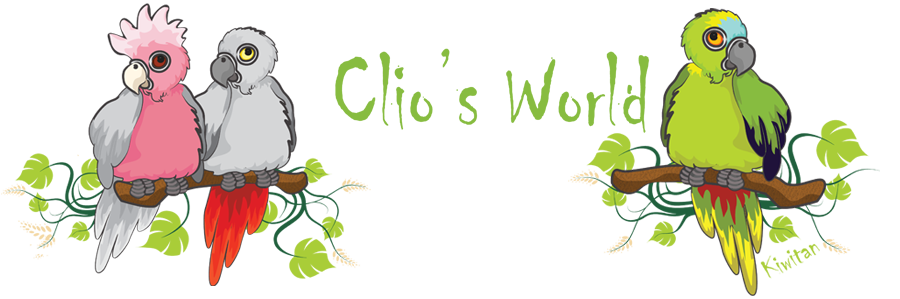 Clio's World