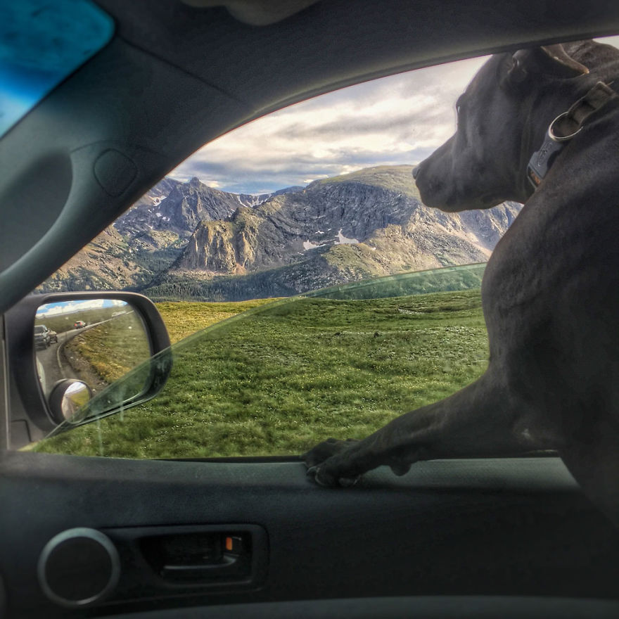 After realizing that I could work from almost anywhere, I decided to move into my truck with my dog and drive to Alaska - I Live In My Truck With My Dog And Travel Across The Country After realizing that I could work from almost anywhere, I decided to move into my truck with my dog and drive to Alaska - I Live In My Truck With My Dog And Travel Across The Country