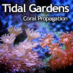 Shop Tidal Gardens at McBone