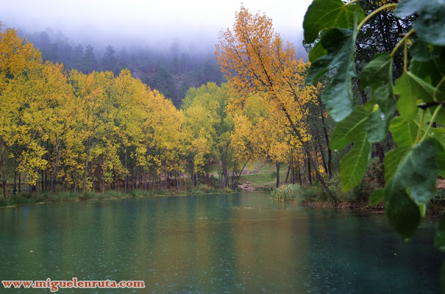 Arroyo Frío