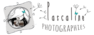 Pascaline Photographies Ƹ̵̡Ӝ̵̨̄Ʒ