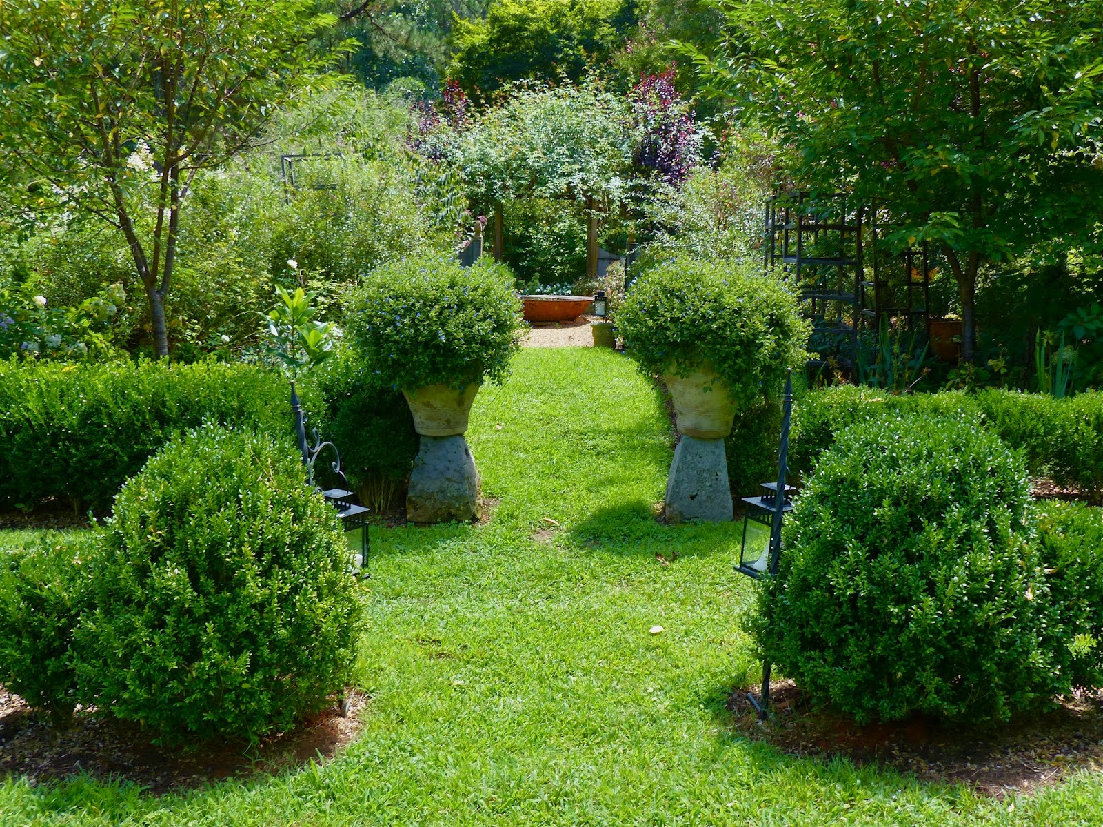 Denver Landscape Plants Weigela