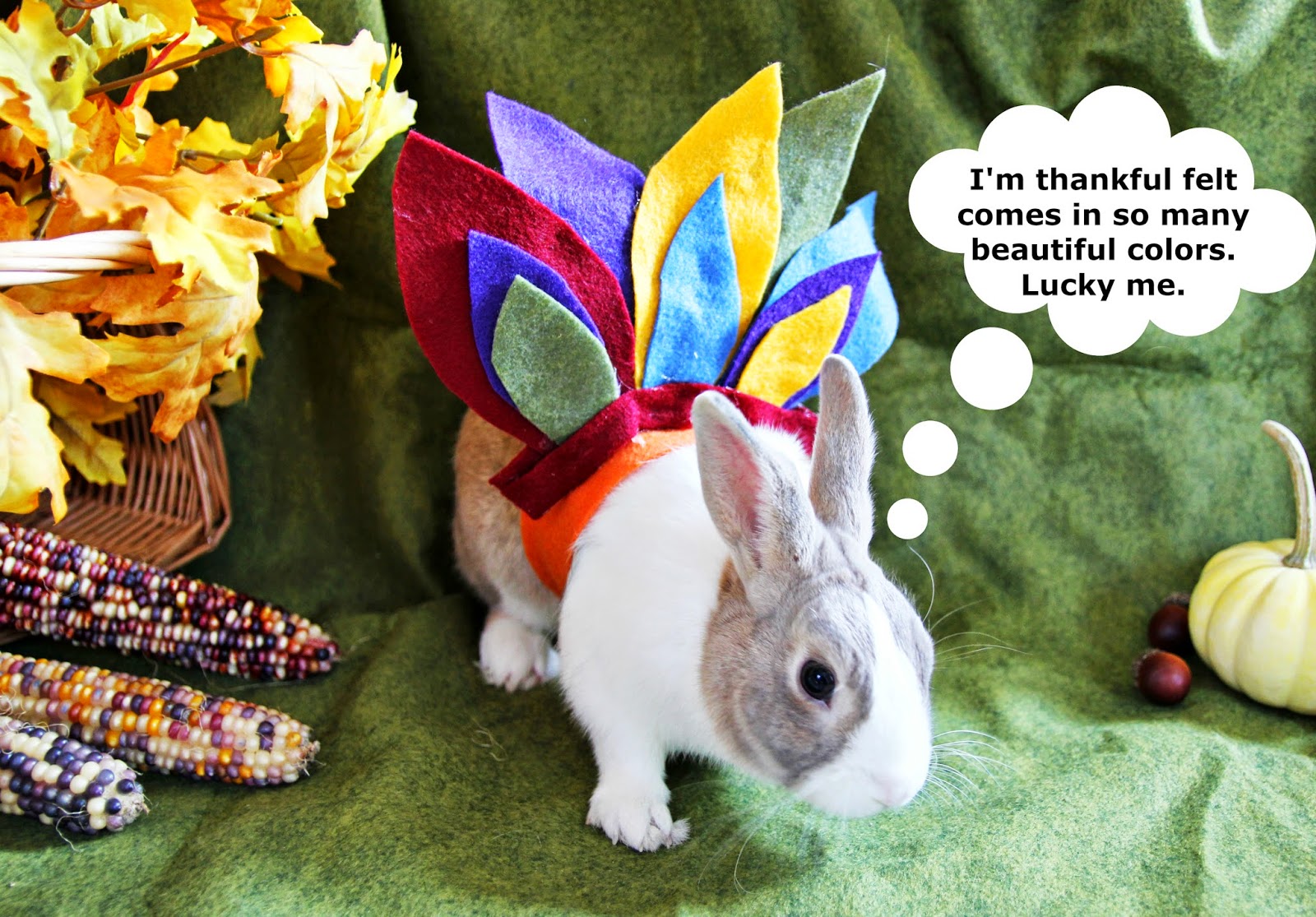 This, too: GIVING THANKS + BLACK FRIDAY COUPON CODE