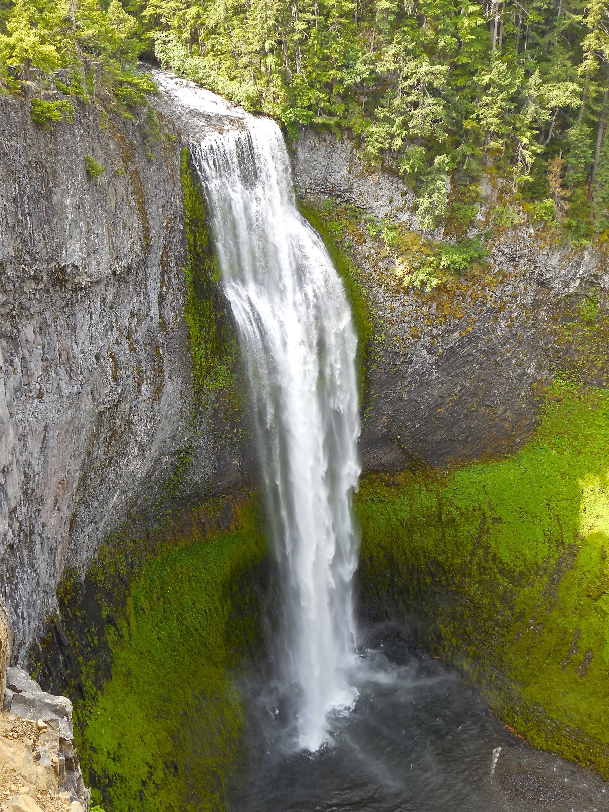 WESTERN OREGON