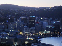 Wellington at Night