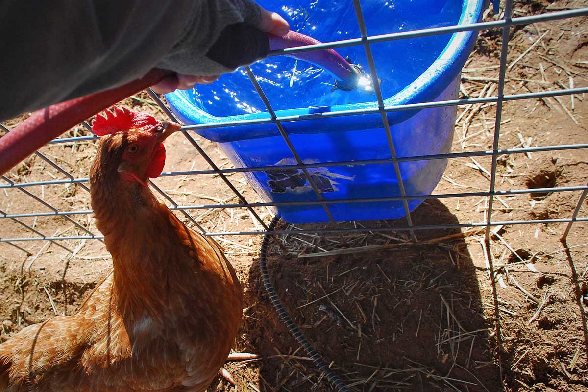 The 7MSN Ranch The art and science of watering livestock in winter