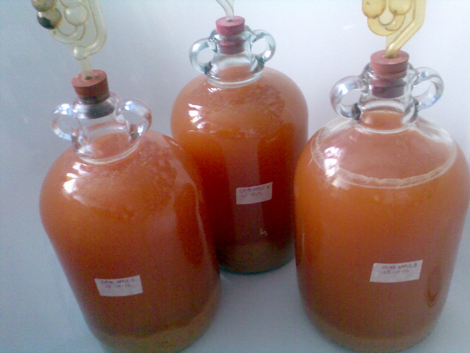 Ben's Adventures in Wine Making Crab Apple Wine 2013 The Making Of