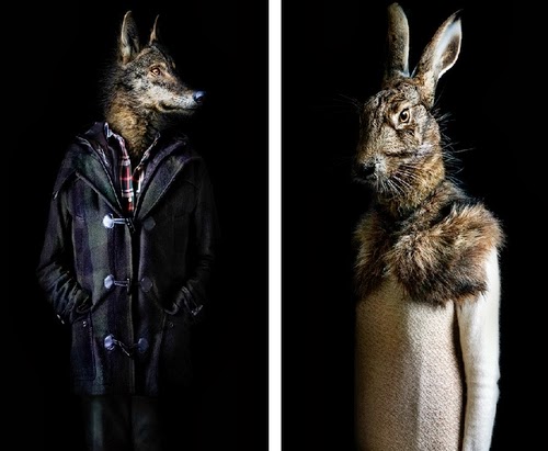 04-Wolf-and-Hare-Miguel-Vallinas-Segundas-Pieles-Second-Skins-Smartly-Dressed-Animals-www-designstack-co