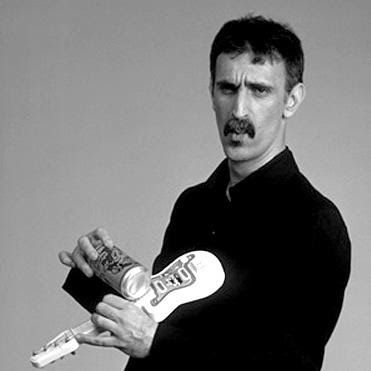 frank zappa mandolin guitar