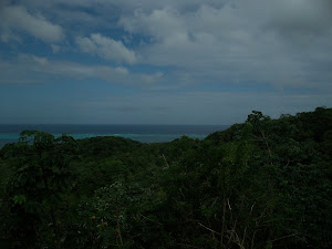 View from top of island