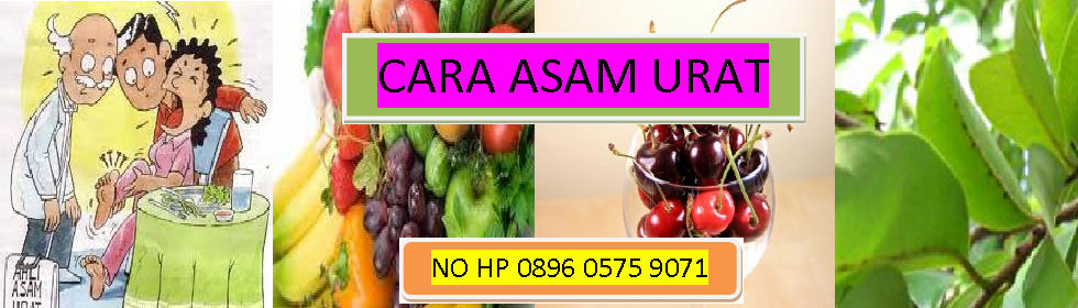 CARA ASAM URAT