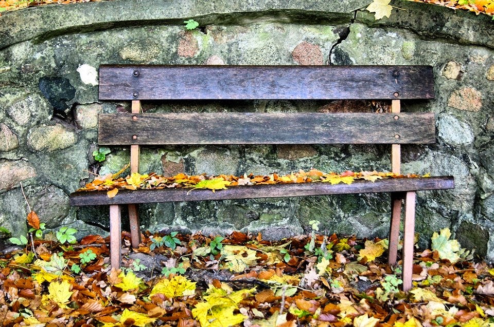 Bernau: Laub von Straßenbäumen wird wieder kostenlos entsorgt - 2 Bernau LIVE - Dein Stadtmagazin für Bernau bei Berlin