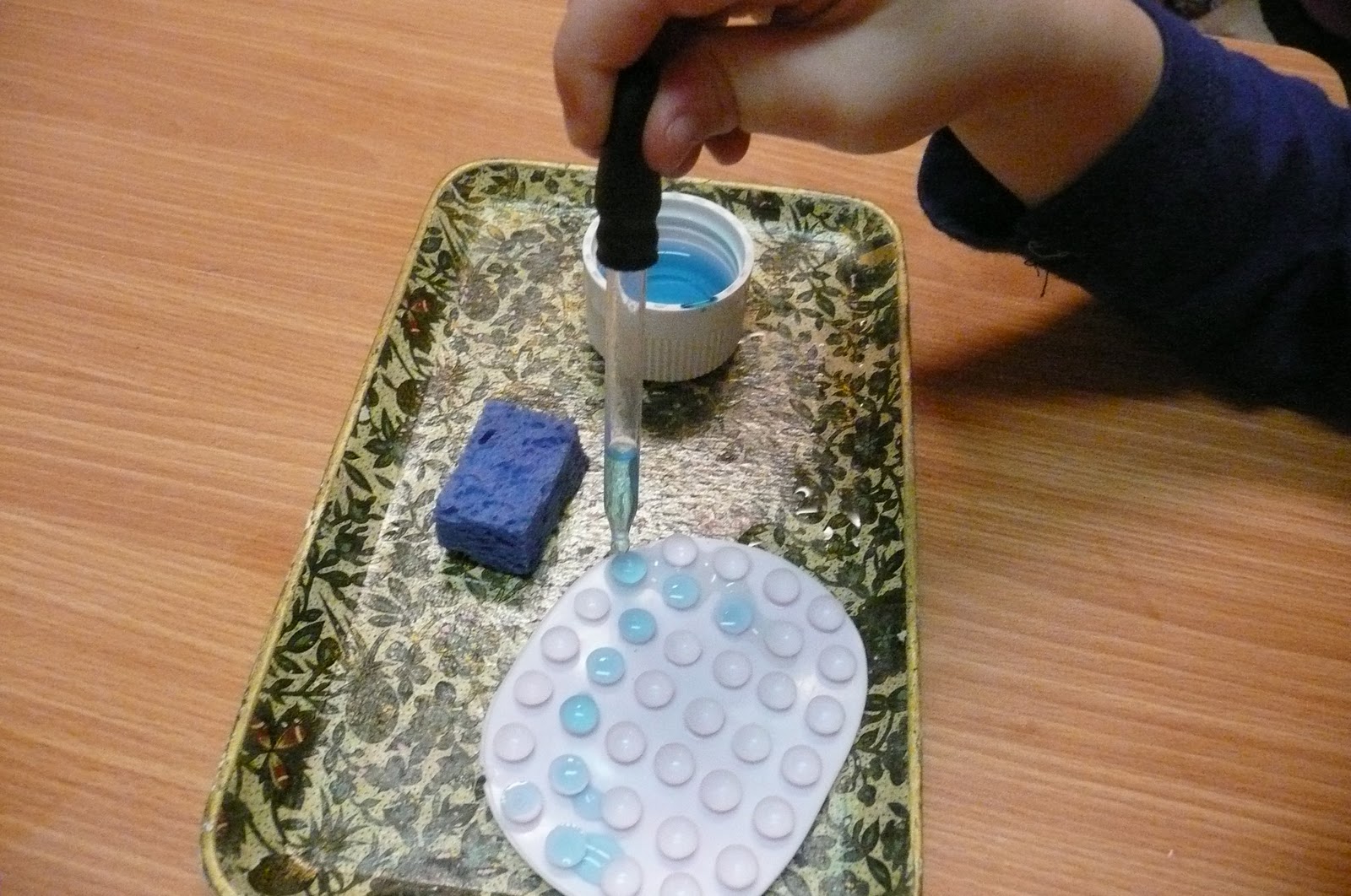 Montessori Teachings Water transfer with a pipette