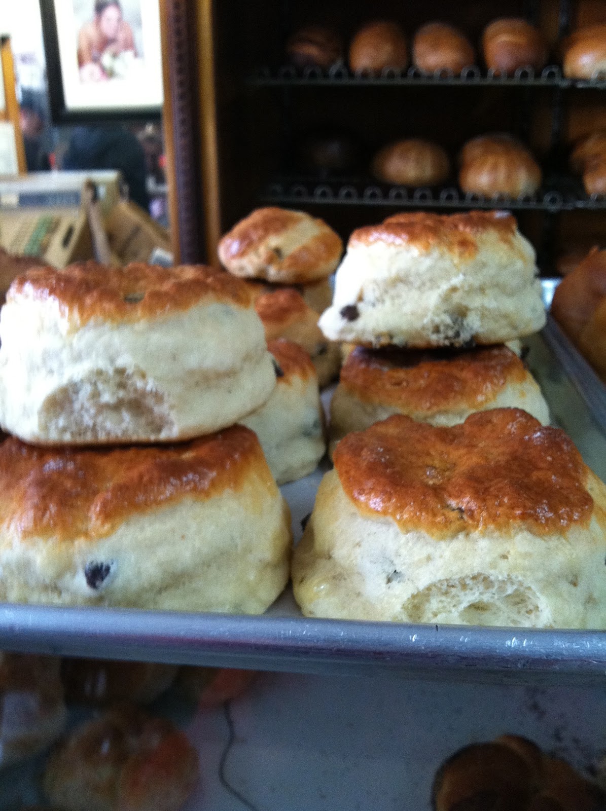 The Cook's Tour Food.Baking.Travel. I Go to Extremes