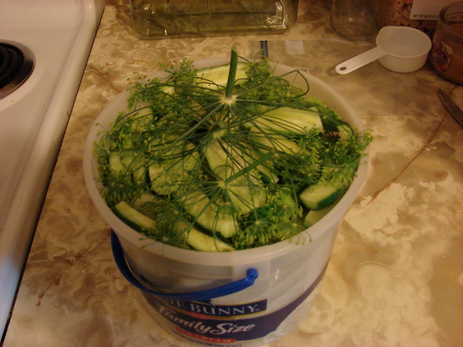 Little Bit of South Dakota Bucket Dill Pickles