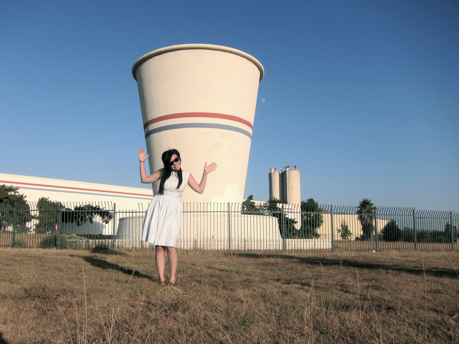 la osa curiosoa World's Largest Paper Cup