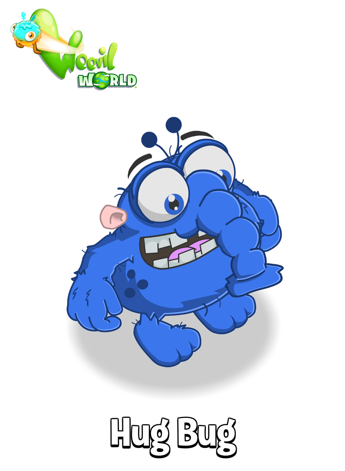 Weevils Weevils