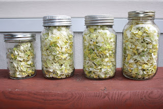 Dried leeks ready to store