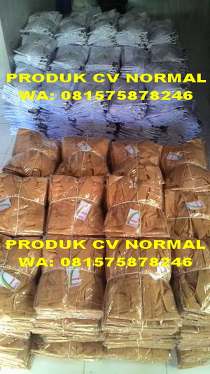 PRODUK CV NORMAL