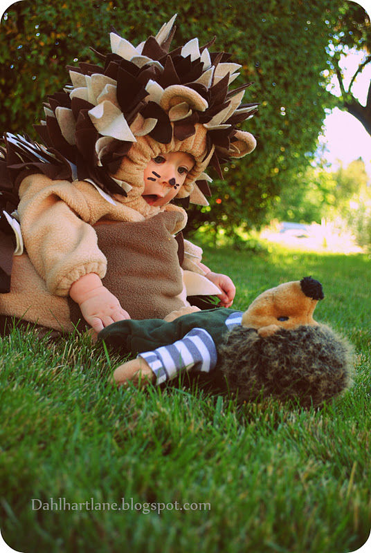 Dahlhart Lane Hedgehog Costume