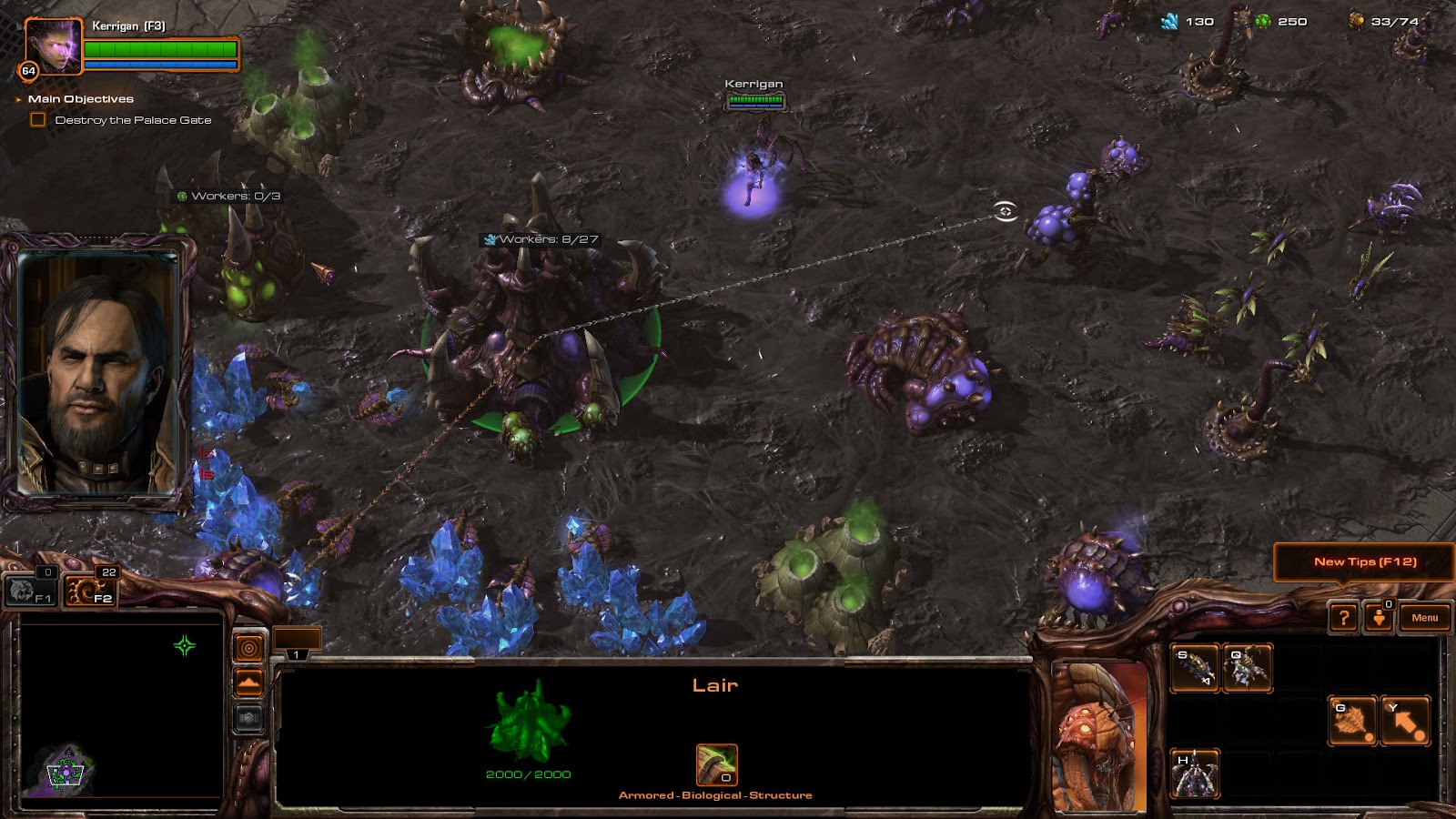 Starcraft 2 Heart Of The Swarm