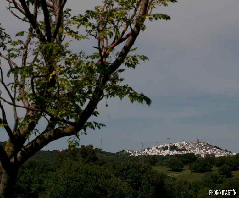 ALCALÁ DE LOS GAZULES