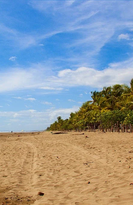 Playa Las Lajas 