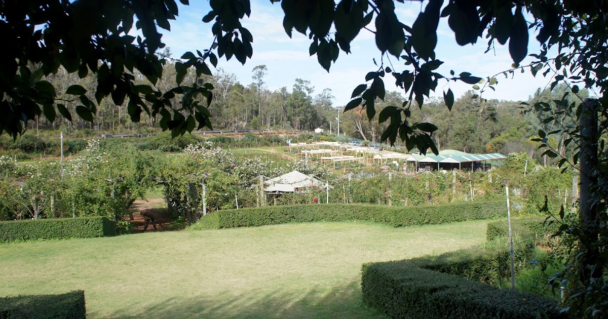 25 Carob Tree Place Lesmurdie