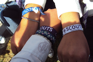 Scouts