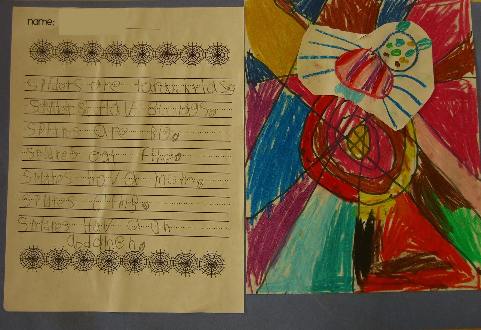 Spider sentence for class 1 picture