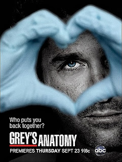 Grey's Anatomy 8x13 Sub Español SERIES ONLINE GRATIS