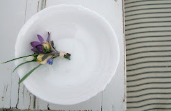 crocuces and snowdrops