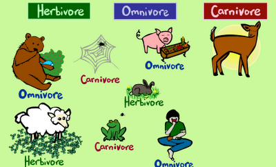 Bringing Science to You: Animals Diet Game