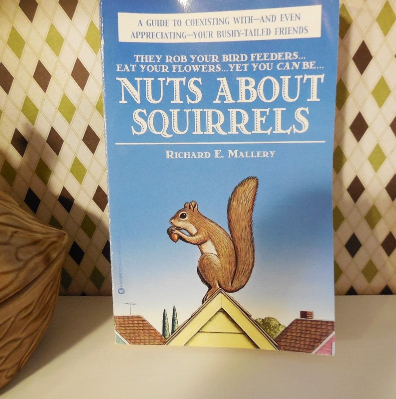 Always CraveCute Nuts About Squirrels
