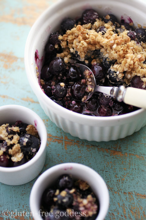 Karina's Gluten-Free Blueberry Crumble-Crisp Recipe with Quinoa Flakes