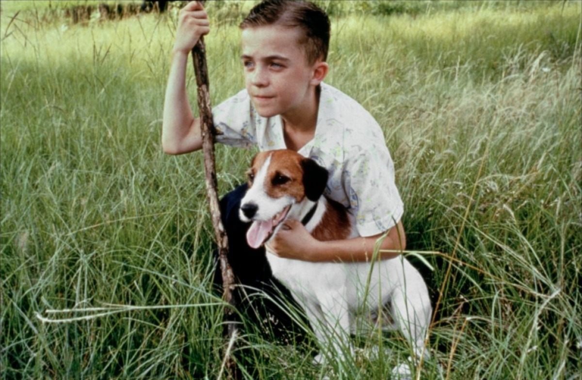 Skip dans Mon chien Skip (2000)