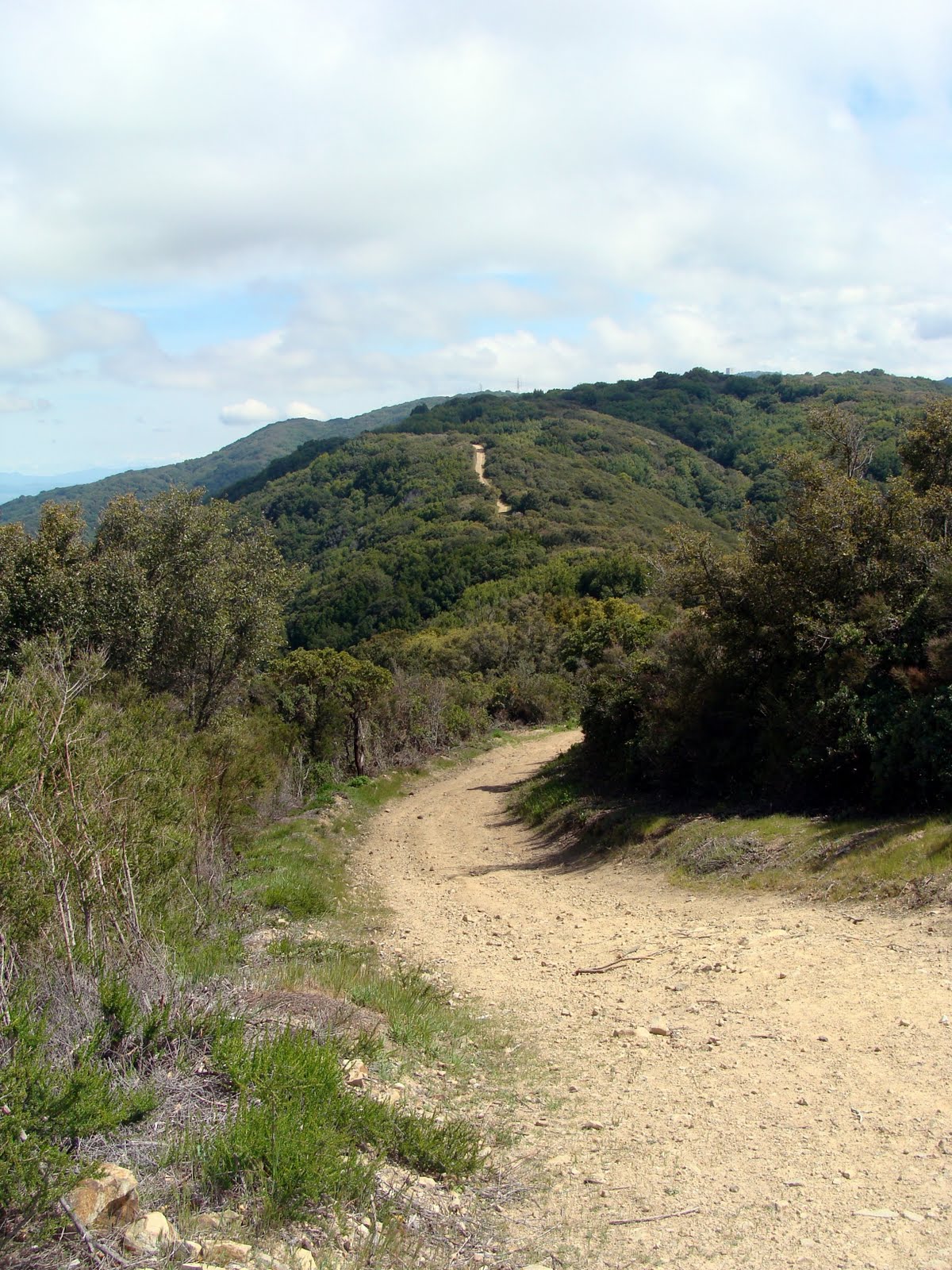 Ziasus' Ride Reports Kennedy and Limekiln