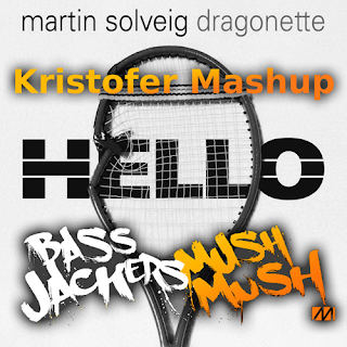 Martin+solveig+dragonette+hello