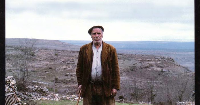 EL DISPUTADO VOTO DEL SR. CAYO Descubrepelis