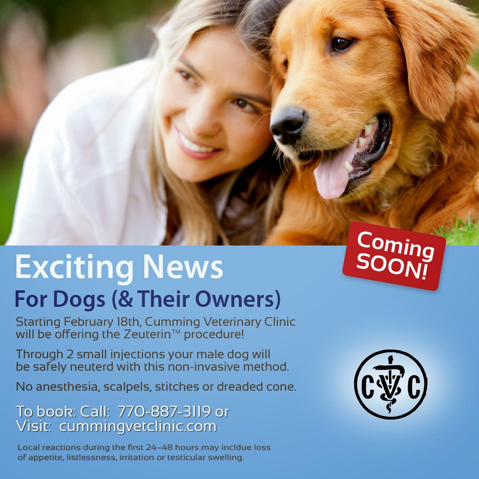 biggest meanest dog breed