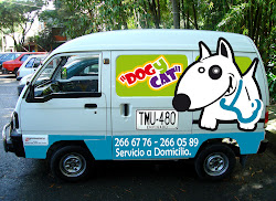 PUBLICIDAD CARRO