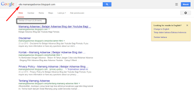 Mamang Adsense - Index Search Engine Google