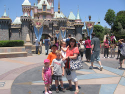 The Castle at Disneyland