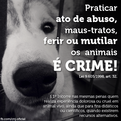 É crime