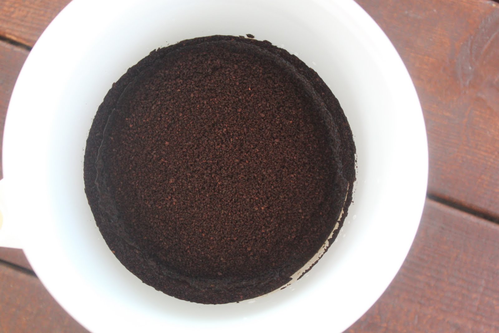 The Best Coffee You'll Ever Have and How to Use a Coffee Toddy