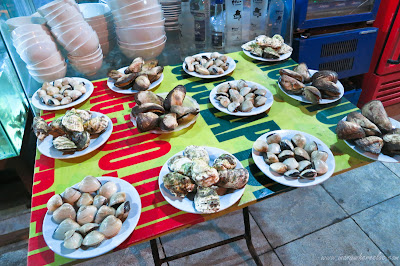 Seashells in Halong, Vietnam